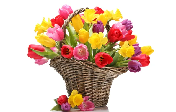 Picture flowers, basket, bouquet, yellow, tulips, red, daffodils