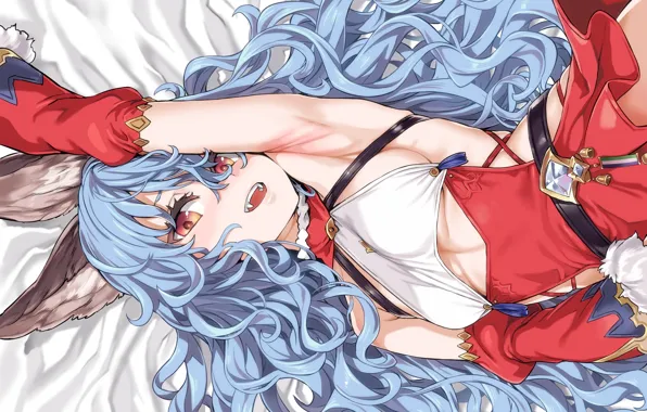 Picture ferri, Granblue Fantasy, Asanagi
