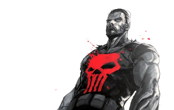 Punisher, Marvel, Comics, Marvel, The Punisher, Punisher.