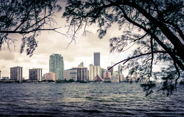 The sky, water, house, tree, shore, the building, skyscraper, cloud