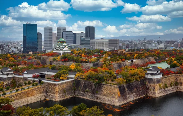 Picture trees, Park, castle, building, Japan, Japan, skyscrapers, Osaka