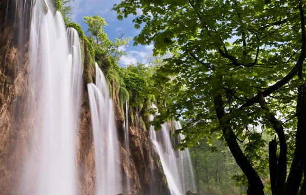 Forest, nature, waterfall, cascade