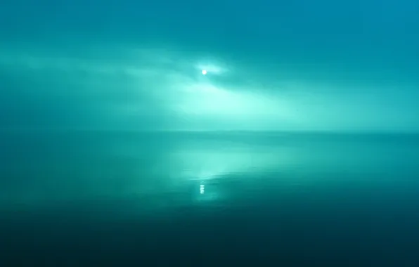 The sun, green, reflection, Water