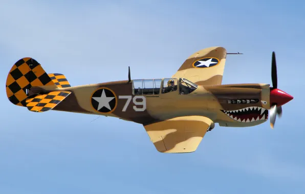 Picture flight, fighter, Warhawk, P-40N