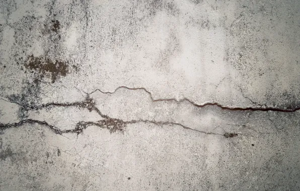 Picture wall, moss, concrete, crack, crack in time, fancq