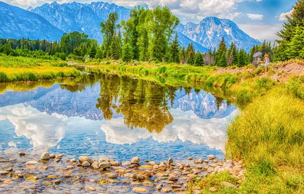 Picture trees, mountains, lake, reflection