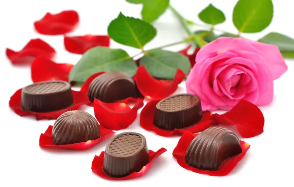 Picture flowers, chocolate, beauty, bouquet, candy, rose, beautiful, beautiful