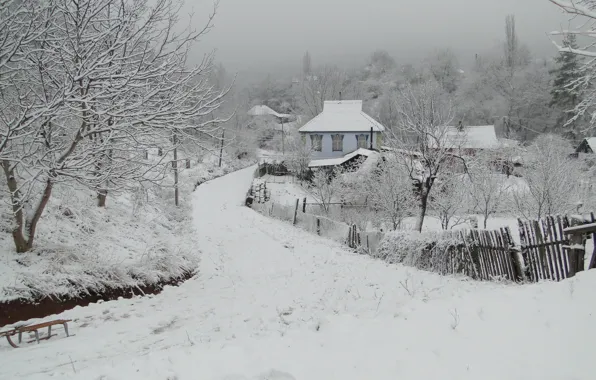 Winter, Kuban, the village, Akela White, Krasnodar Krai