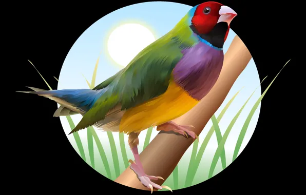 The sun, bird, branch, bright