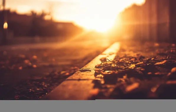 Autumn, leaves, the city, street