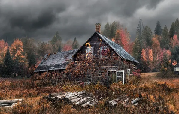 Picture autumn, forest, house