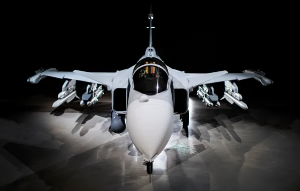 Gripen, next generation, JAS 39, Gripen NG, You CAN, JAS 39 Gripen