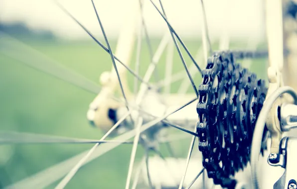Picture bike, wheel, chain, spokes, photo, photographer, asterisk, markus spiske