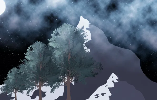 Forest, the sky, stars, mountains, fog, the moon, tree, moon