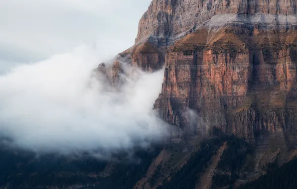 Forest, clouds, mountains, nature, fog, rocks