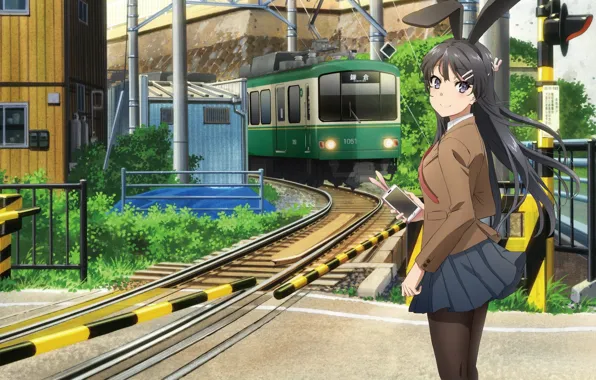 Picture girl, the city, street, Rascal Does Not Dream of Bunny Girl Senpai