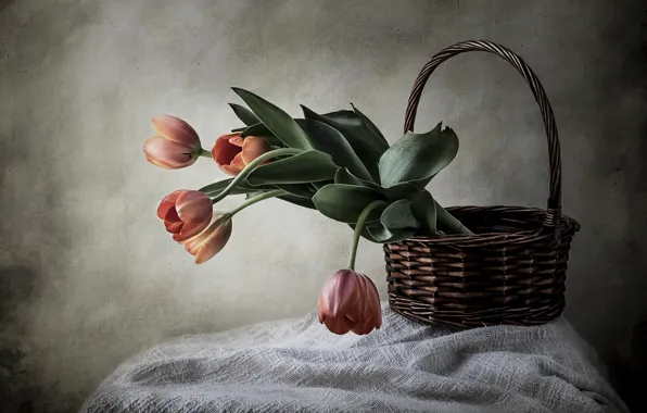 Picture style, basket, tulips