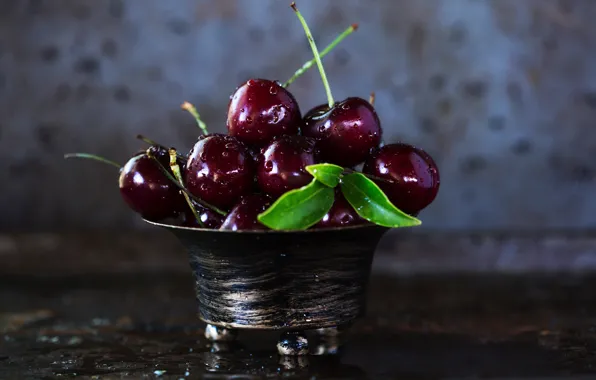 Close-up, cherry, berries, cherry, berries, bowl, cherries, Wendy Van Zyl