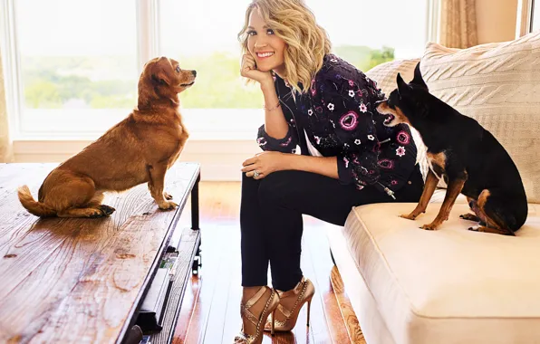 Picture dogs, pose, smile, window, hairstyle, blonde, singer, Carrie Underwood
