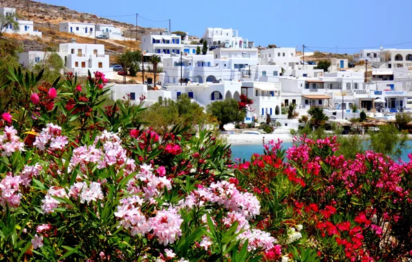 Sea, landscape, village, home, Greece, the bushes, oleander, Karavostasi