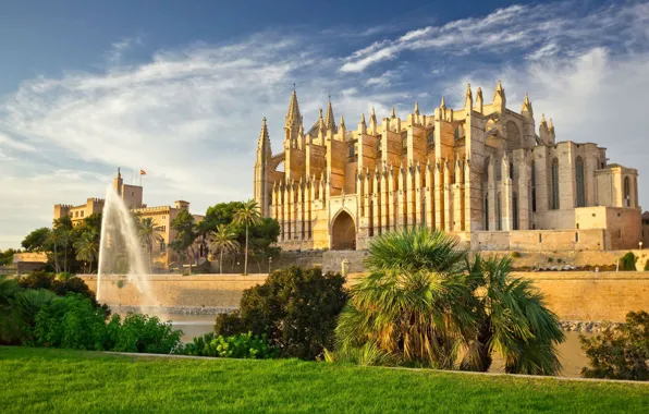 Palm trees, Gothic, Cathedral, fountain, Spain, Mallorca, Santa Maria of Palma De Mallorca