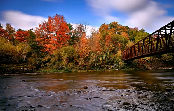 Autumn, bridge, Canada