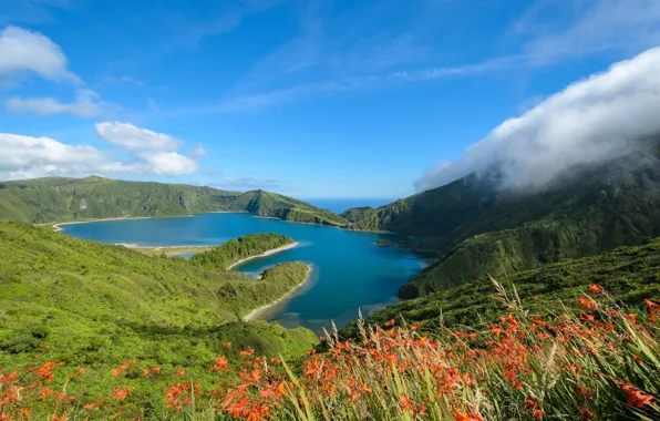 Picture landscape, mountains, nature, lake, meadow, mountain lake
