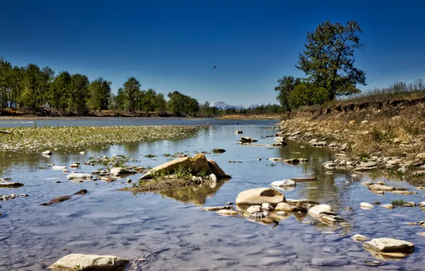 Trees, river, stones, Canada, Albert
