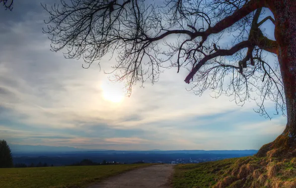 Road, field, the sun, the city, tree, away