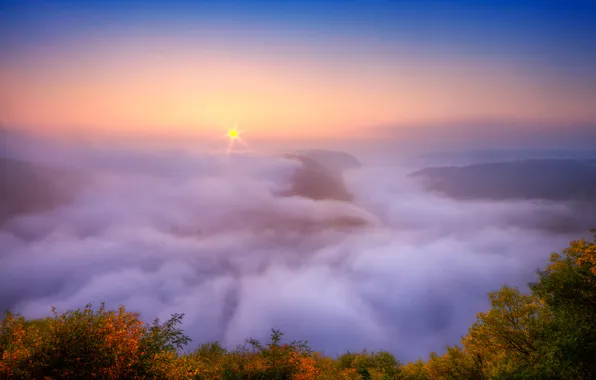 Autumn, fog, river, morning, Saar