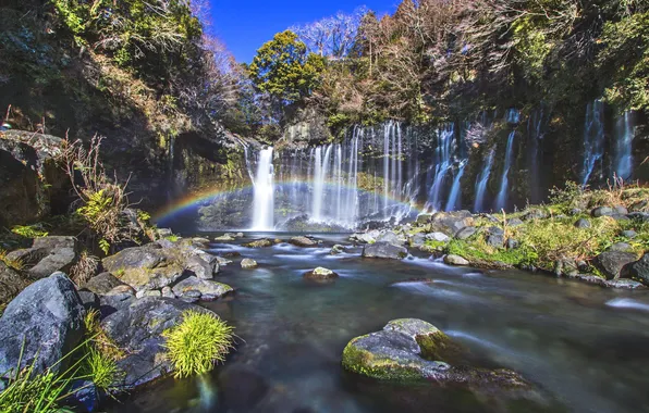 Picture forest, river, stones, waterfall, rainbow, jungle