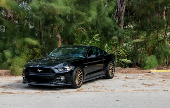 Picture Mustang, Ford, Vossen, Satin, Bronze, VFS2