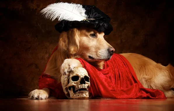 Pen, skull, cloak, takes, Retriever, Hamlet