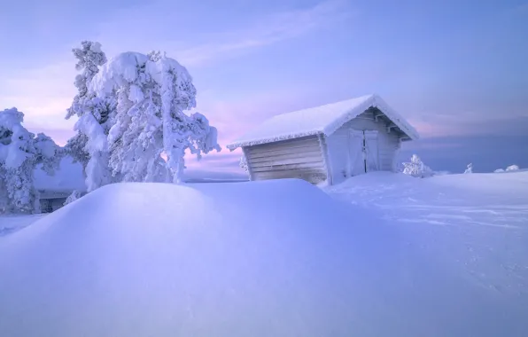 Winter, snow, trees, hut, the snow, hut, Russia, The Arctic