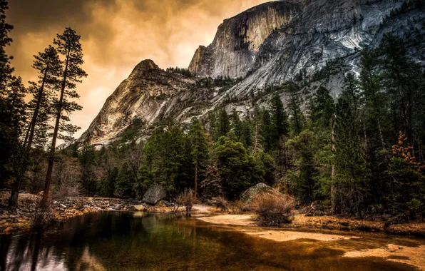 Picture trees, nature, river, rocks, Yosemite, Yosemite, California, National park