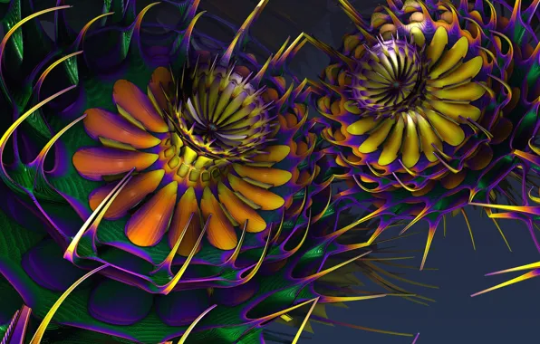 Picture flowers, Wallpaper, petals