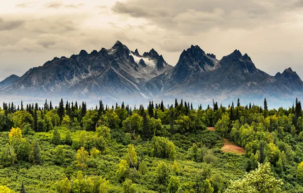 Forest, the sky, clouds, trees, mountains, nature, rocks, haze