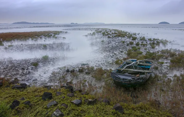 The sky, algae, fog, lake, stones, hills, shore, boat