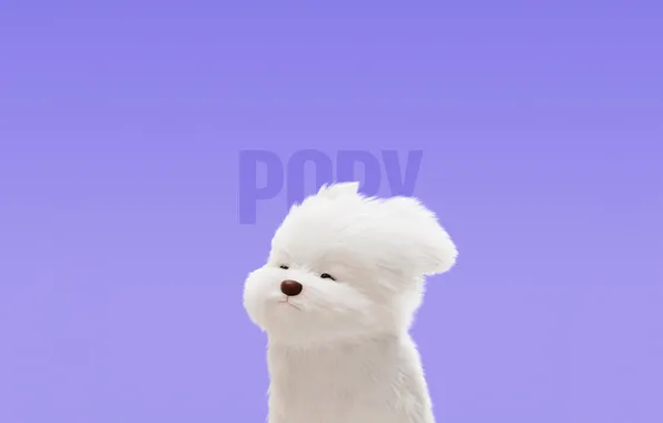 Picture Cute cartoon, Maltese Dog