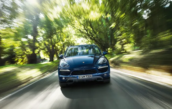 Forest, speed, Porsche Cayenne