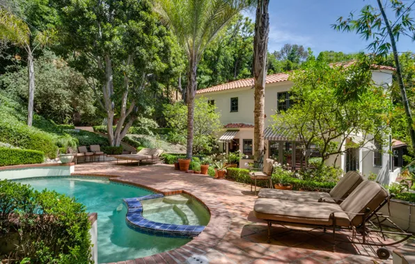 Picture trees, Villa, pool, sunbeds
