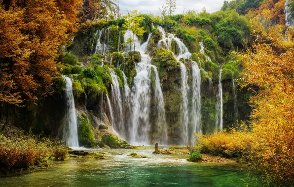 Autumn, forest, trees, branches, nature, rocks, shore, vegetation