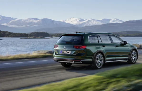 Picture movement, Volkswagen, universal, Passat, dark green, Alltrack, 2019