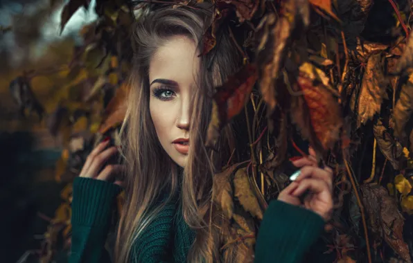 Picture autumn, look, leaves, girl, branches, face, mood, Asia Piorkowska