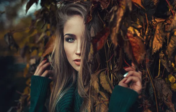 Wallpaper autumn, look, leaves, girl, branches, face, mood, Asia ...