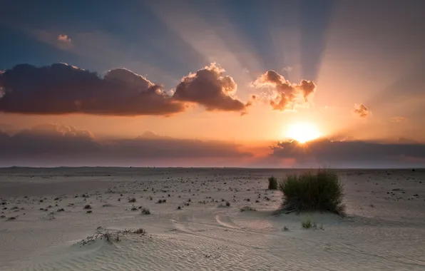 Sand, the sky, the sun, clouds, rays, sunset, desert, shrub