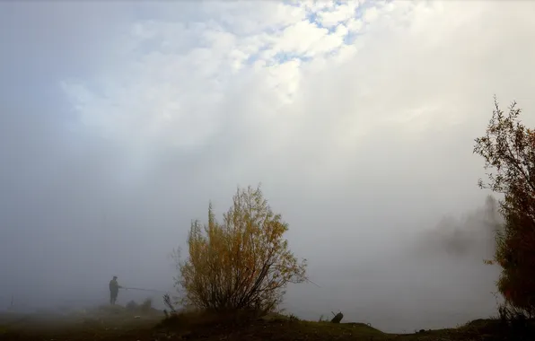 Landscape, nature, fog, river, fishing, fisherman, morning