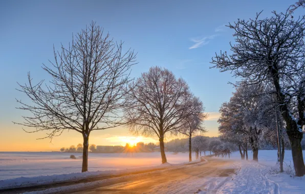 Picture winter, road, the sky, the sun, clouds, snow, trees, dawn