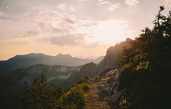 The sun, The sky, Clouds, Mountains, Grass, Trees, Forest, Horizon