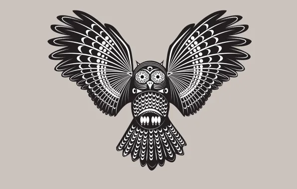 Owl, bird, light background, owl